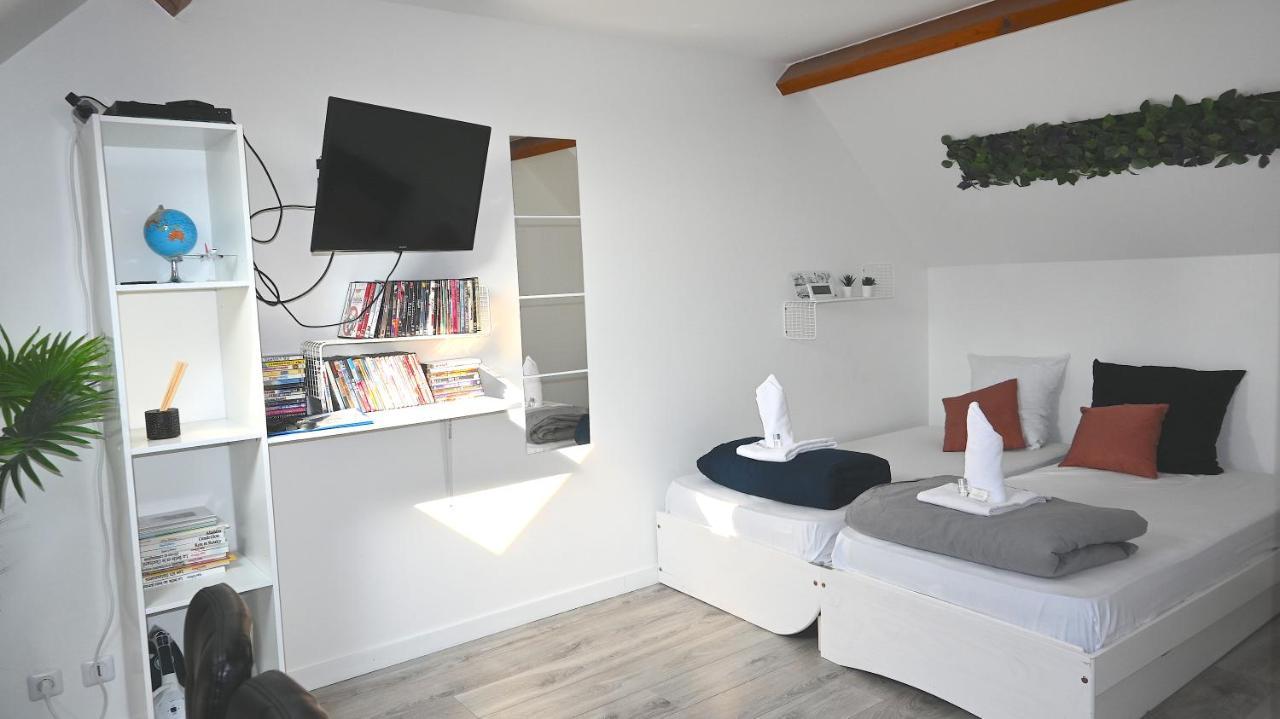 Cosy Chambre Chez Habitant 5Mn Aeroport Roissy Cdg Hotel Le Mesnil-Amelot Exterior photo